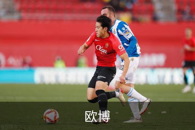 专业欧博平台